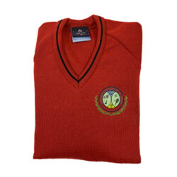 Junior red jumper
