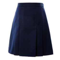 Navy Skirt