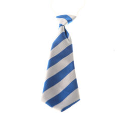 School Tie