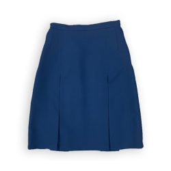 Blue Skirt