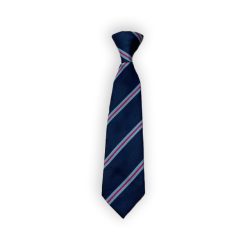 Scoil Bhride Tie