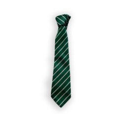 St Patrick's Diswellstown Tie
