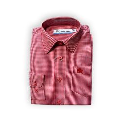 Red Gingham Shirt
