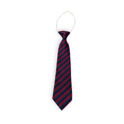 Gaelscoil an Chuilinn Tie
