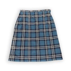School Skirt