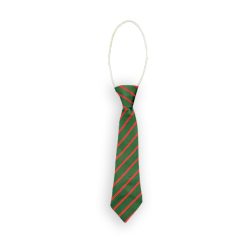 Mary Help of Christians Tie