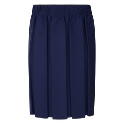 Navy Pleated Skirt